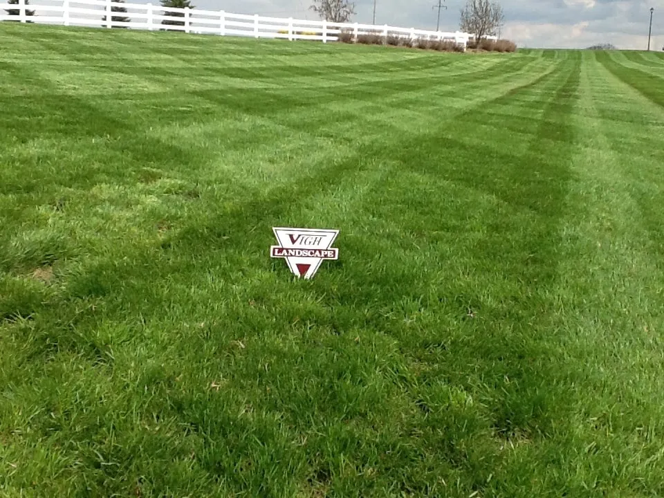 Expert yard maintenance for homes across Walker, MI - Vigh Landscape Management