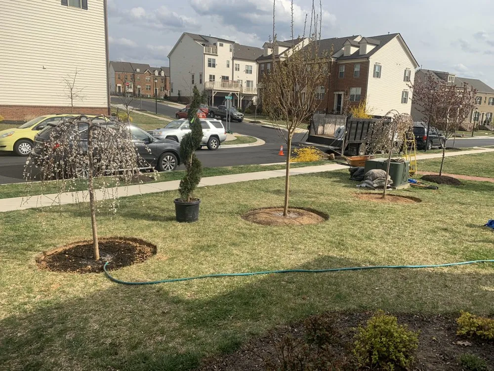 Custom yard maintenance in Rockville, MD - Vigil Landscaping & Contractors