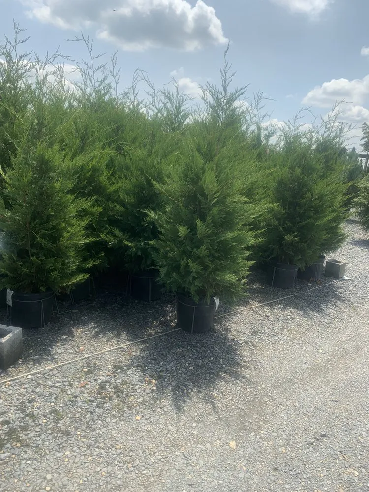 Reliable landscaping services for residential properties across Rockville, MD - Vigil Landscaping & Contractors