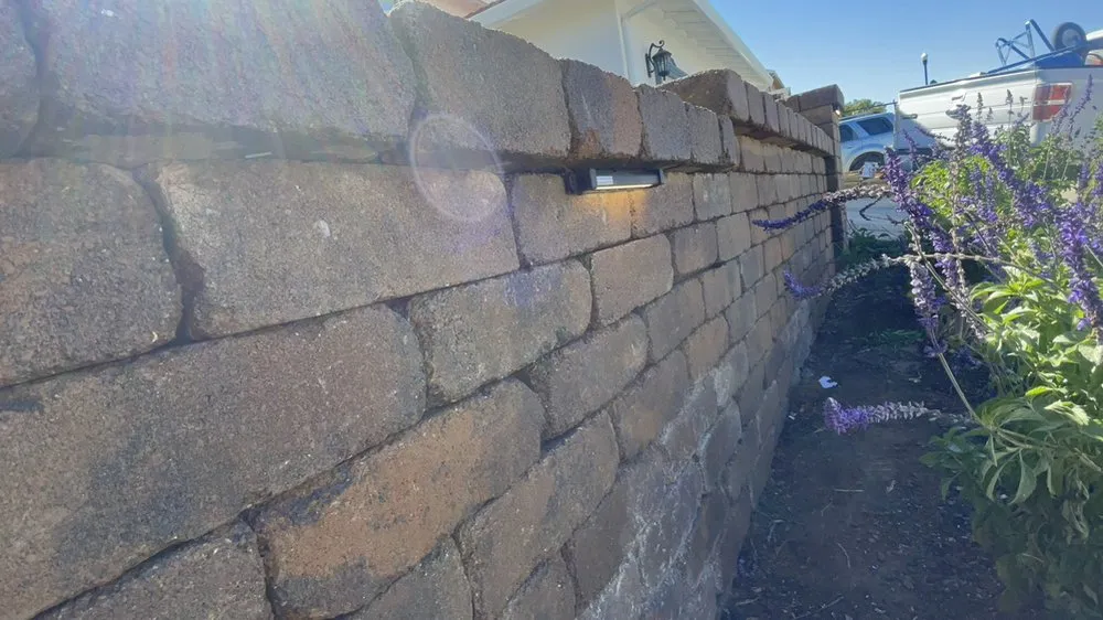 Local lawn care service in El Cerrito, CA - Vigil Pave An Lanscapin