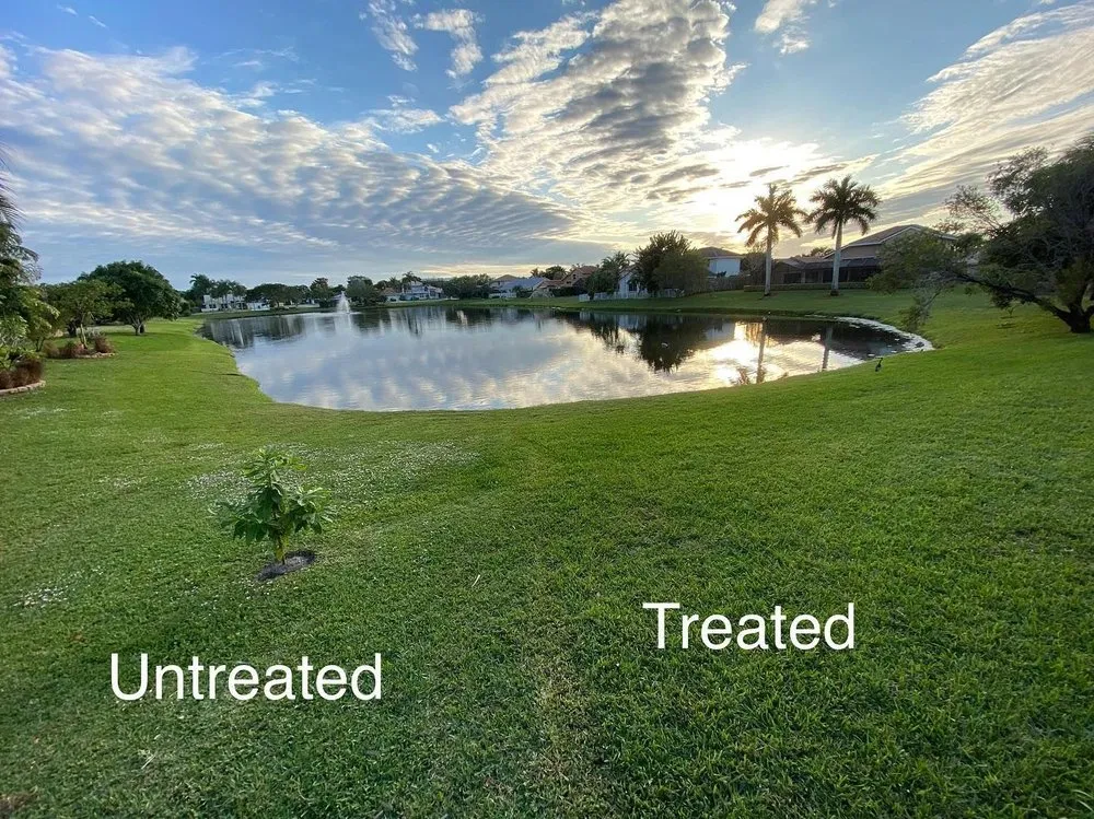 Expert garden landscaping in Boca Raton, FL by Vigilant Lawn + Pest