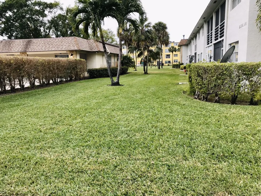 Top-rated yard maintenance in Boca Raton, FL by Vigilant Lawn + Pest
