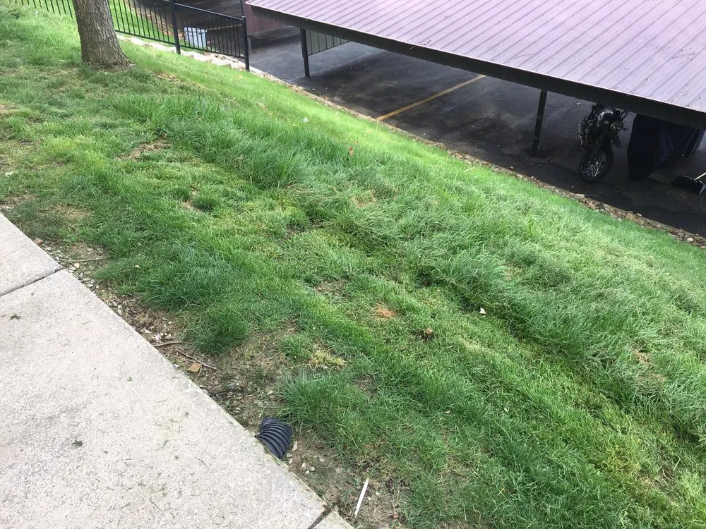 Top-rated landscape installation for year-round maintenance in Pittsburgh, PA by Vigliotti Landscaping and Construction