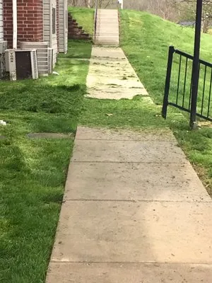 Vigliotti Landscaping and Construction Logo