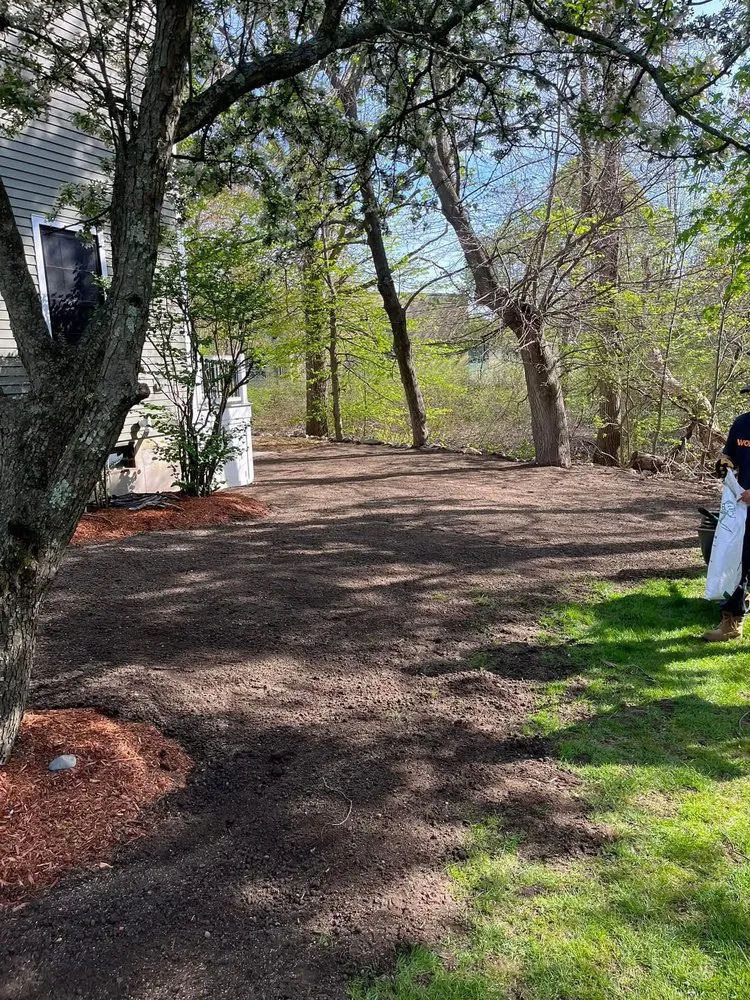 Trusted lawn care service near you in Peabody, MA by Vigliotti Property Management