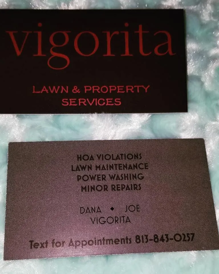 Top-rated yard maintenance with custom design across Wesley Chapel, FL - Vigorita Property Services