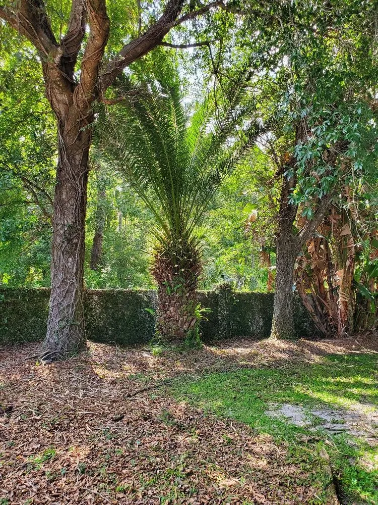 Top-rated landscaping services experts serving Wesley Chapel, FL - Vigorita Property Services