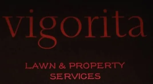 Affordable yard cleanup service for year-round maintenance in Wesley Chapel, FL by Vigorita Property Services