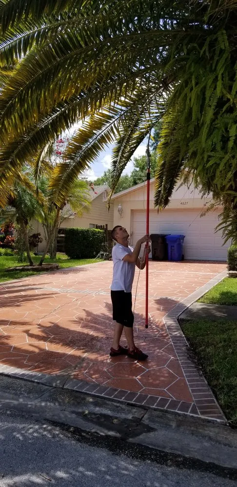 Affordable lawn mowing service in Wesley Chapel, FL - Vigorita Property Services