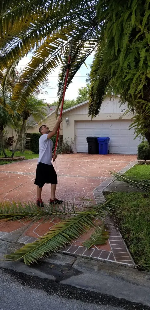 Top-rated lawn mowing service with custom design in Wesley Chapel, FL by Vigorita Property Services