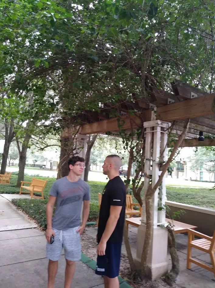 Affordable garden landscaping experts serving Wesley Chapel, FL - Vigorita Property Services