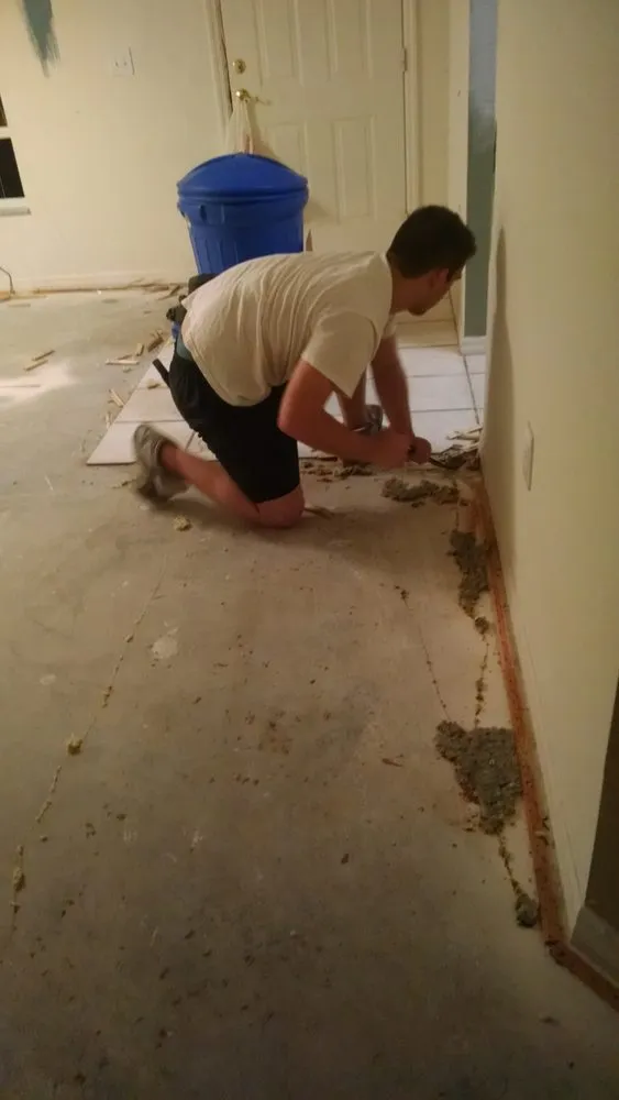 Local yard cleanup service in Wesley Chapel, FL - Vigorita Property Services