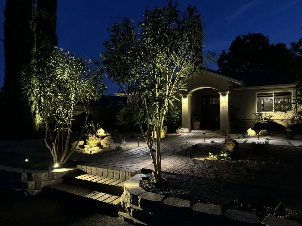 Local lawn care service experts serving Daly City, CA - Vigorous Landscaping