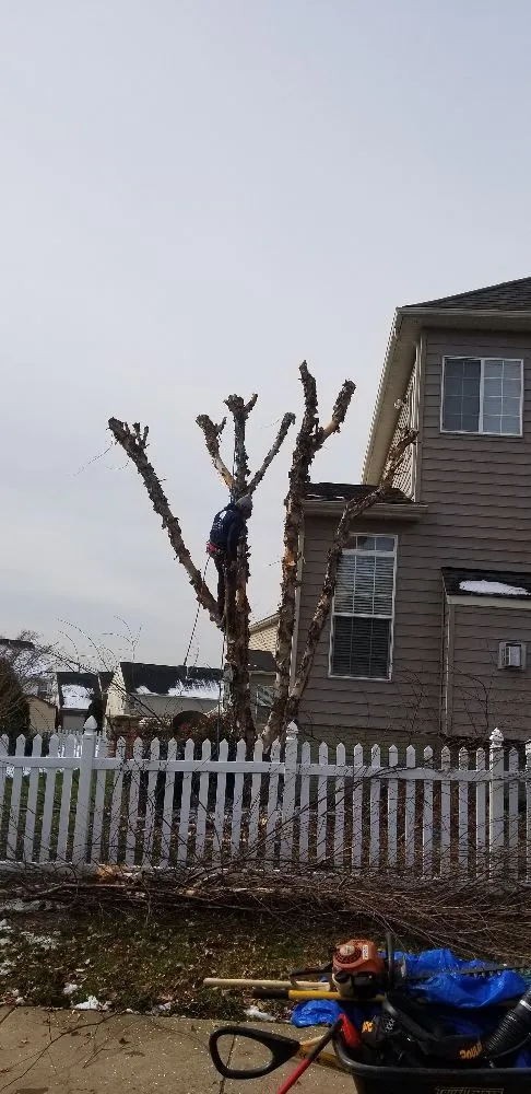 Trusted lawn mowing service for outdoor upgrades across Culpeper, VA - VII Oaks Tree and Yard Service