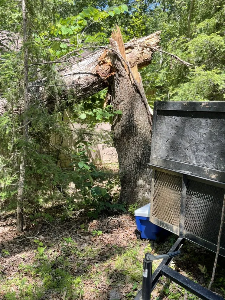 Reliable garden landscaping for residential properties across Culpeper, VA - VII Oaks Tree and Yard Service