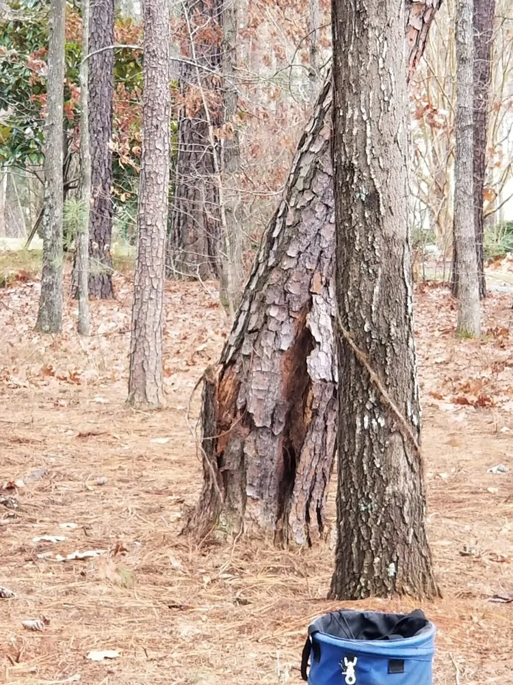 Custom yard maintenance with custom design in Culpeper, VA by VII Oaks Tree and Yard Service