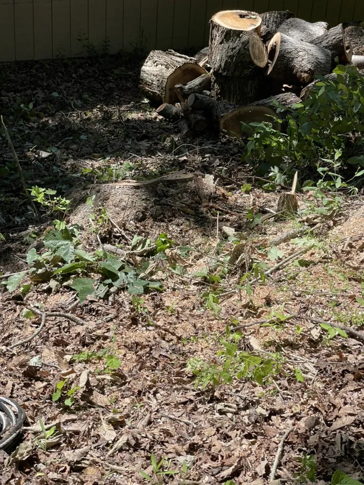 Professional yard maintenance in Culpeper, VA - VII Oaks Tree and Yard Service