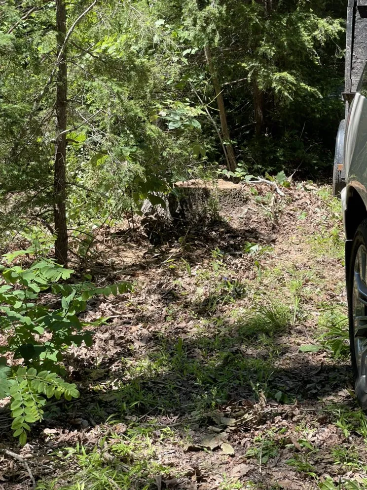 Affordable landscape installation in Culpeper, VA - VII Oaks Tree and Yard Service