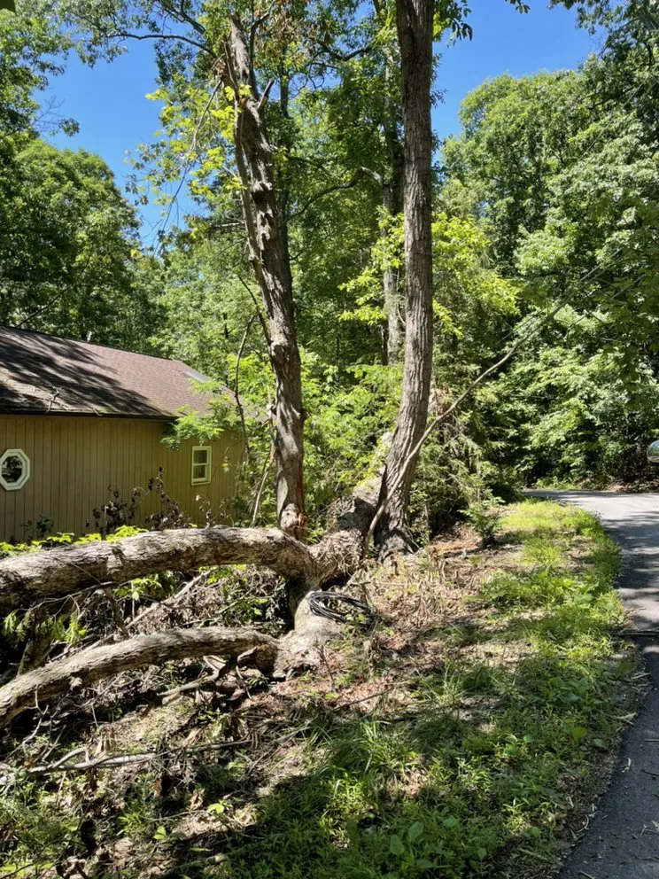 Expert lawn care service experts serving Culpeper, VA - VII Oaks Tree and Yard Service