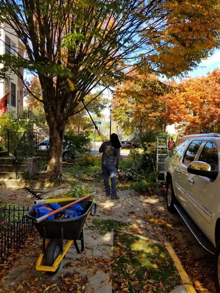 Top-rated garden landscaping for outdoor upgrades in Culpeper, VA by VII Oaks Tree and Yard Service