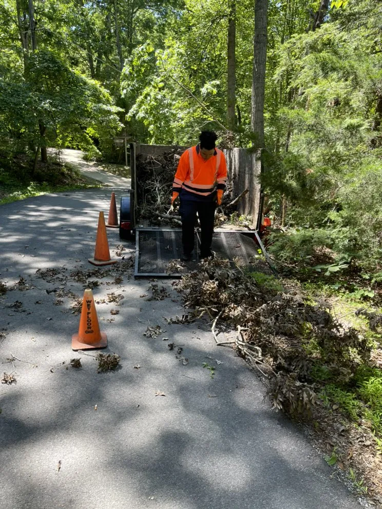 Reliable lawn care service in Culpeper, VA - VII Oaks Tree and Yard Service