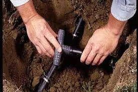 Affordable yard cleanup service in Tavernier, FL - Vikert