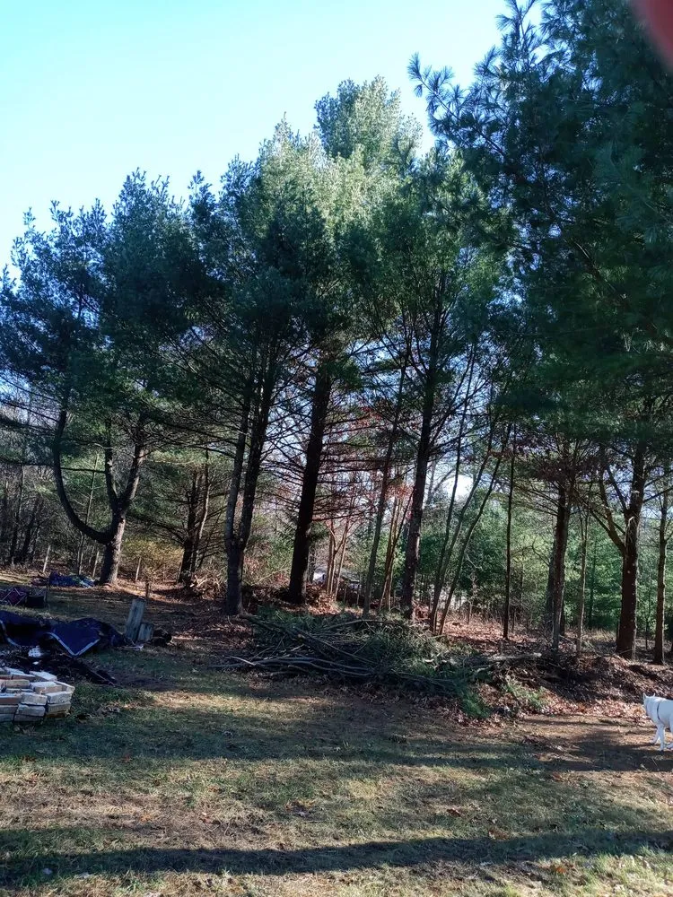 Affordable residential landscaping in Twin Lake, MI - Viking Land Management