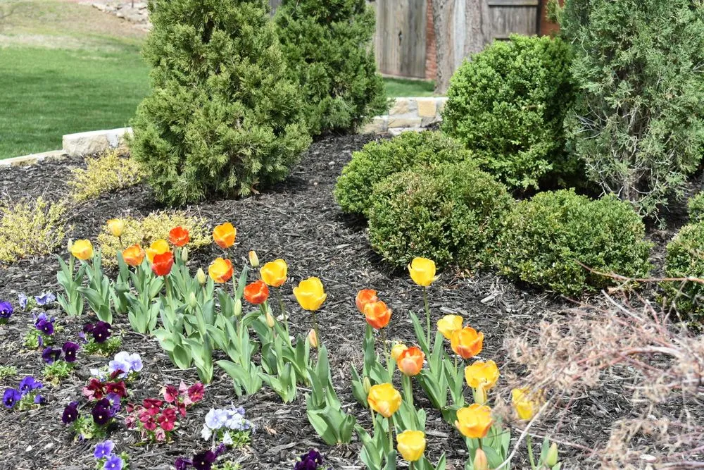 Custom yard maintenance in Tulsa, OK by Viking Landscape