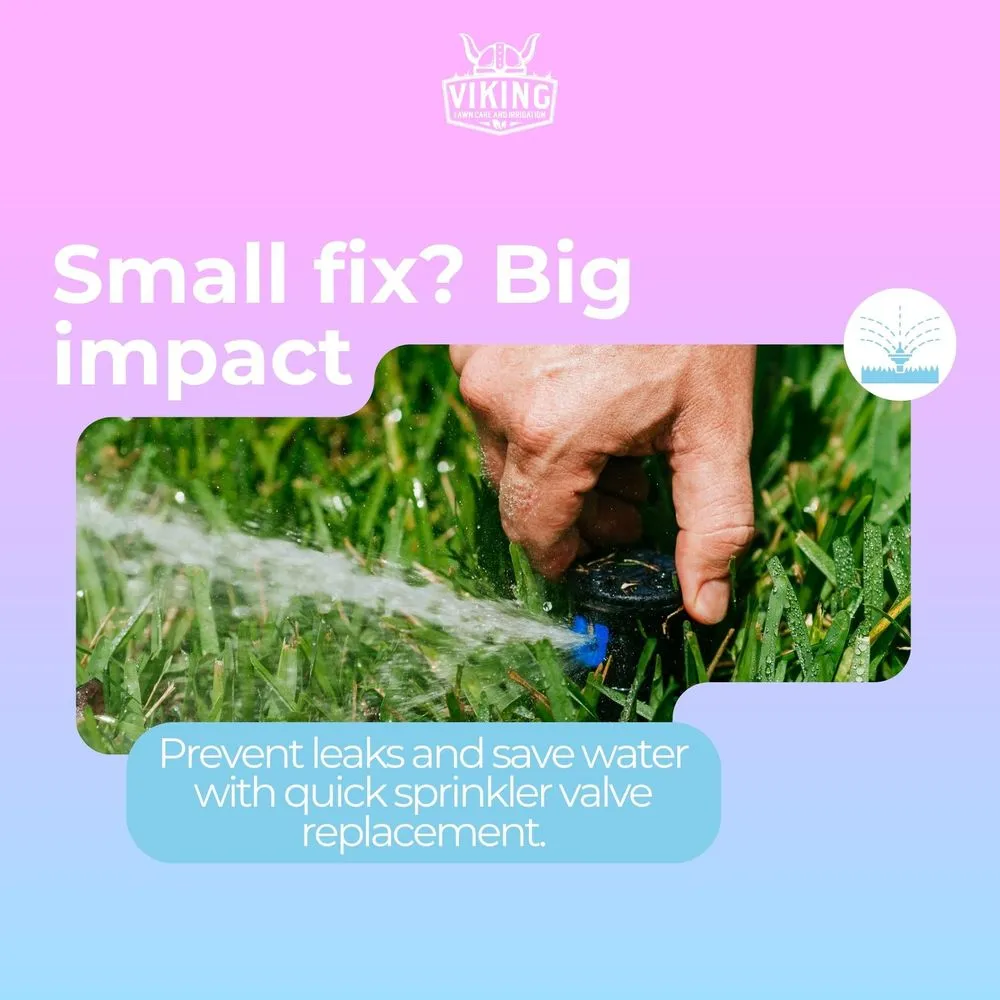 Professional residential landscaping in Winter Haven, FL by Viking Lawn Care and Irrigation