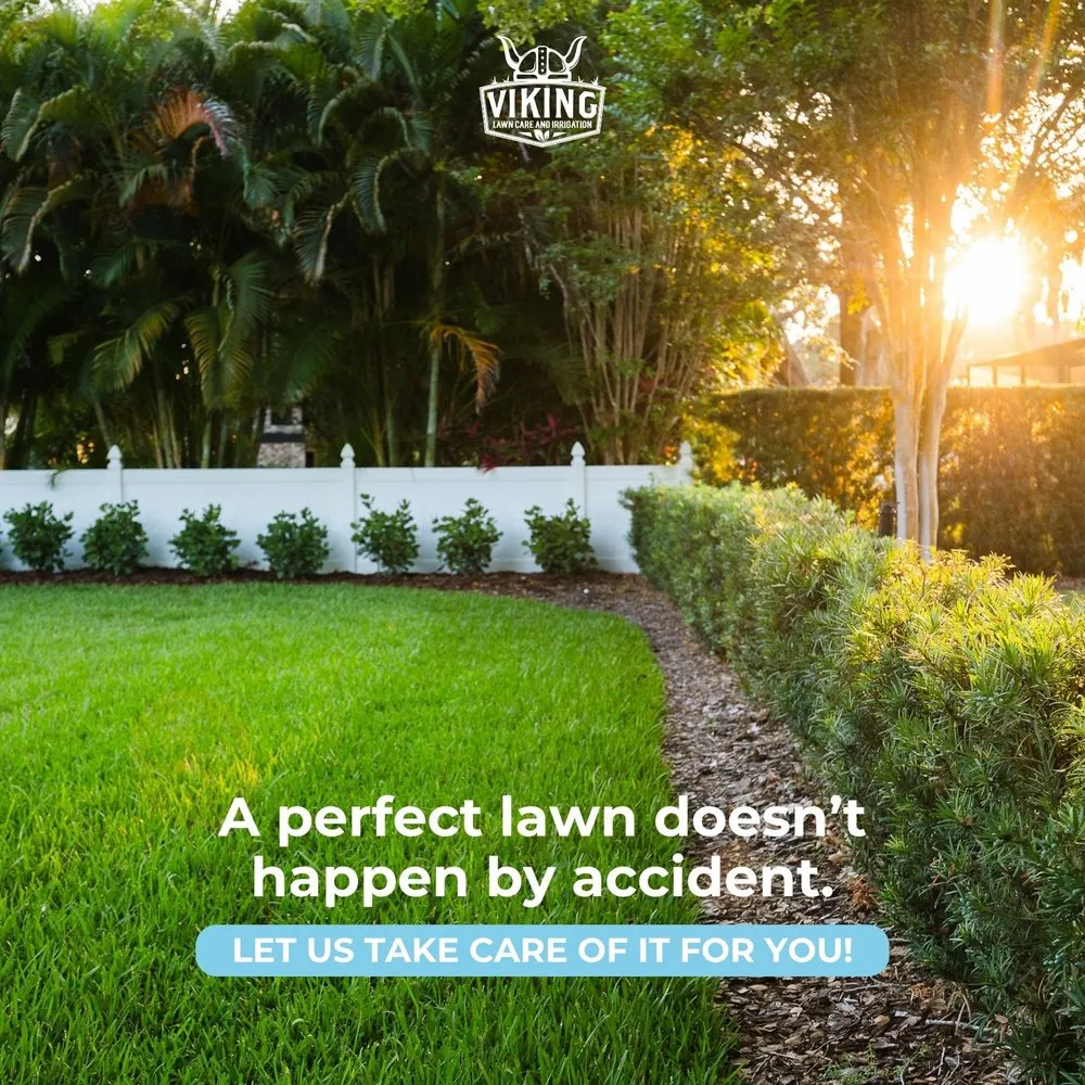 Top-rated yard cleanup service near you in Winter Haven, FL by Viking Lawn Care and Irrigation