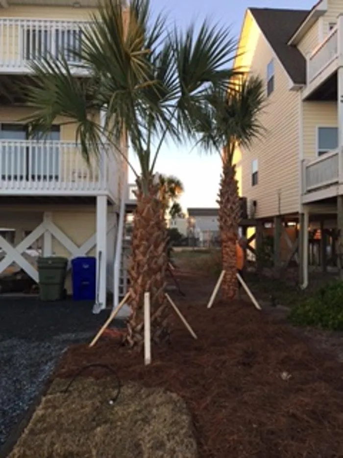 Reliable landscape installation in Surf City, NC by Viking Lawn Care and Landscaping