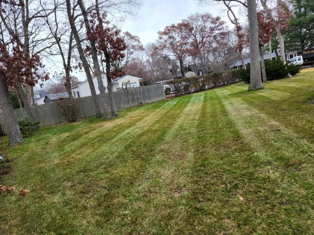 Top-rated outdoor landscaping in Medford, NY by Viking