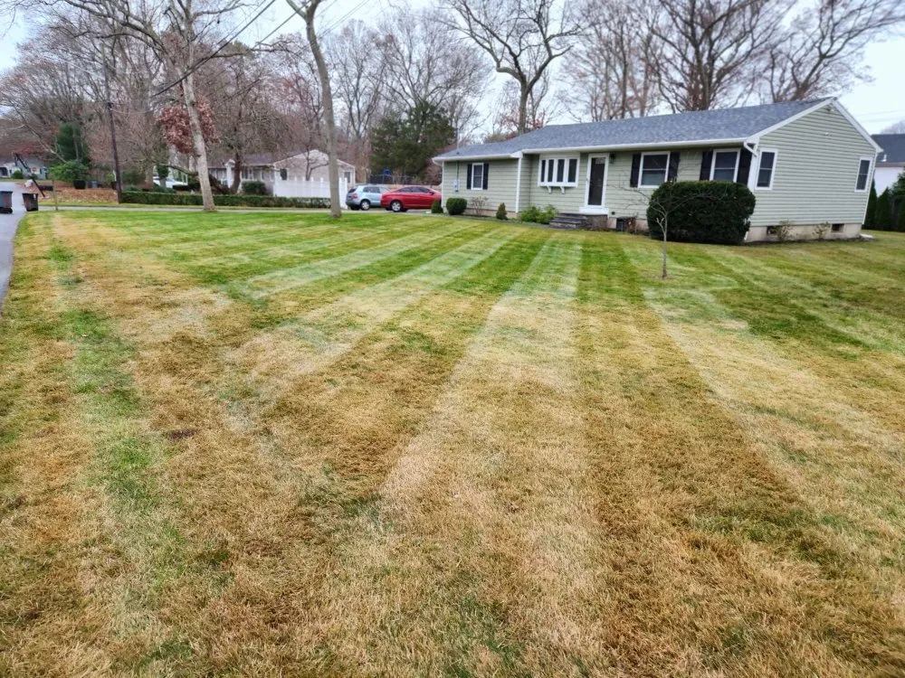 Reliable outdoor landscaping experts serving Medford, NY - Viking