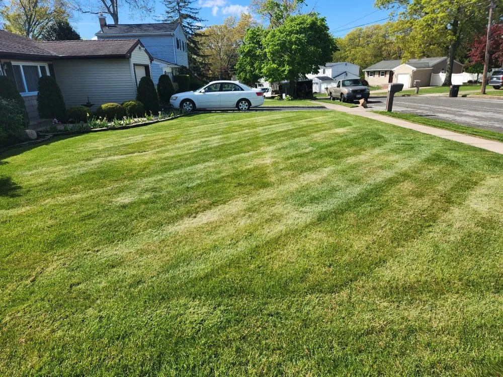 Trusted lawn care service in Medford, NY by Viking