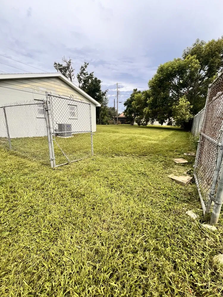 Local yard cleanup service experts serving Tampa, FL - Viking Tuff