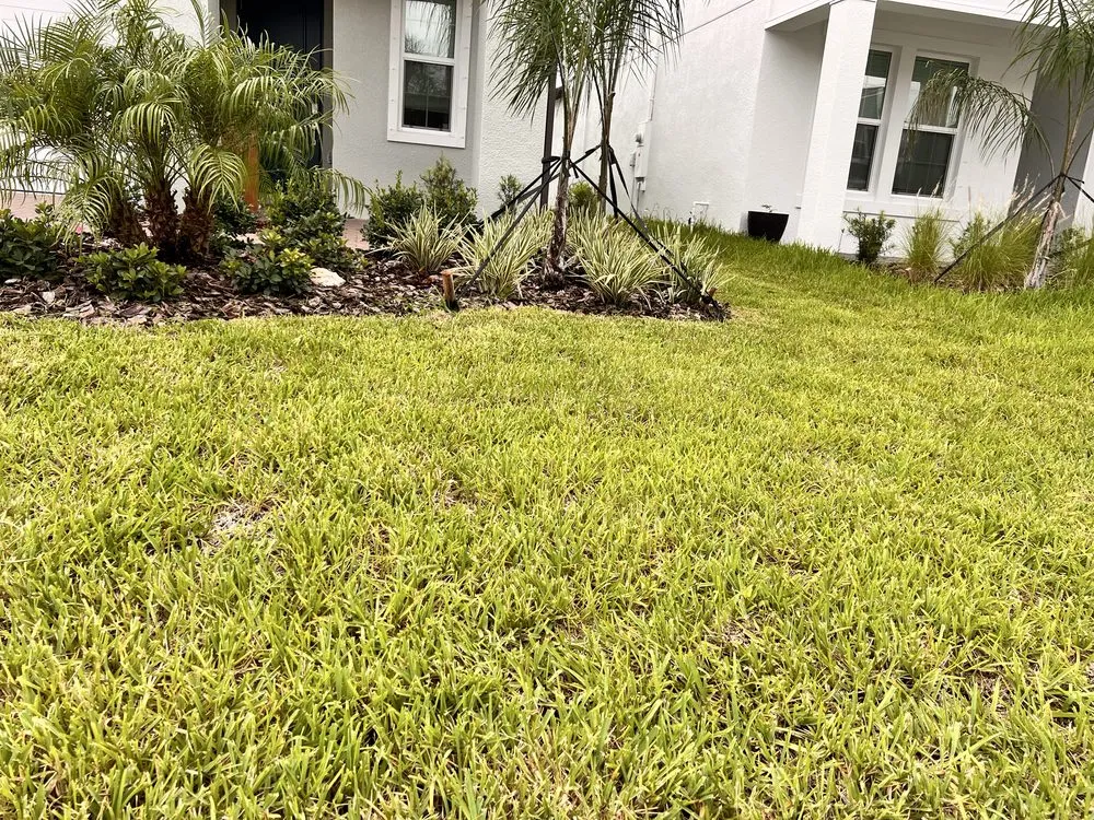 Affordable residential landscaping in Tampa, FL by Viking Tuff