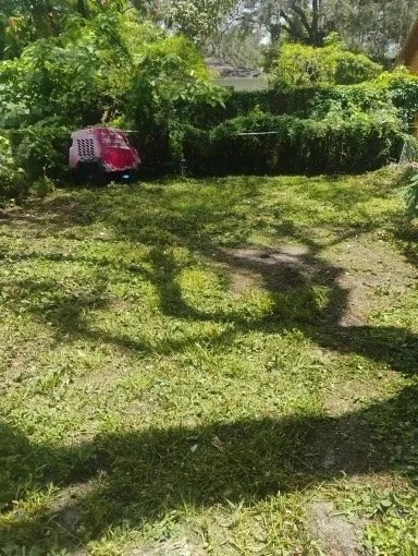 Custom outdoor landscaping in Tampa, FL by Viking Tuff