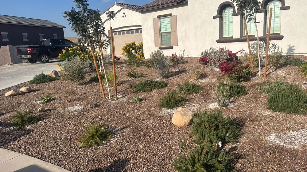 Trusted landscaping services in Glendale, AZ - Vik'r Landscape
