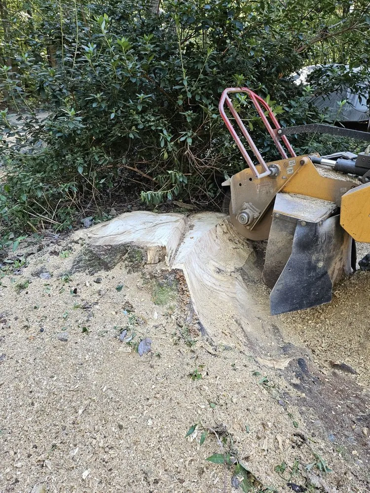 Local yard maintenance near you across Henderson, NC - Viks Services