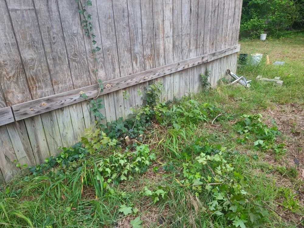 Trusted landscaping services in Henderson, NC by Viks Services