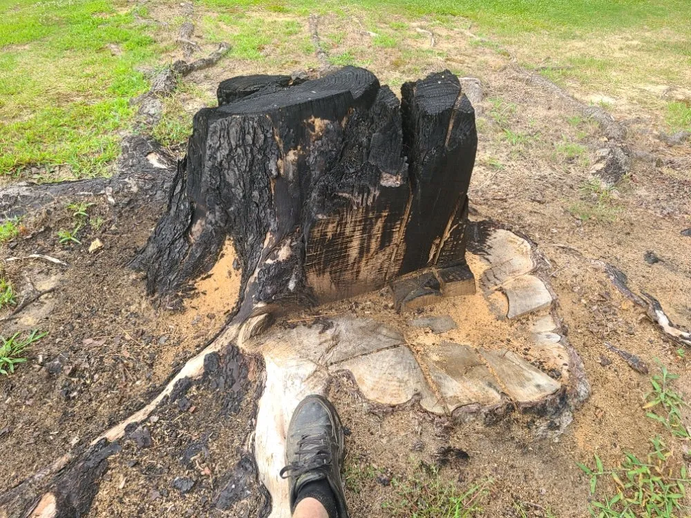 Reliable outdoor landscaping in Henderson, NC - Viks Services