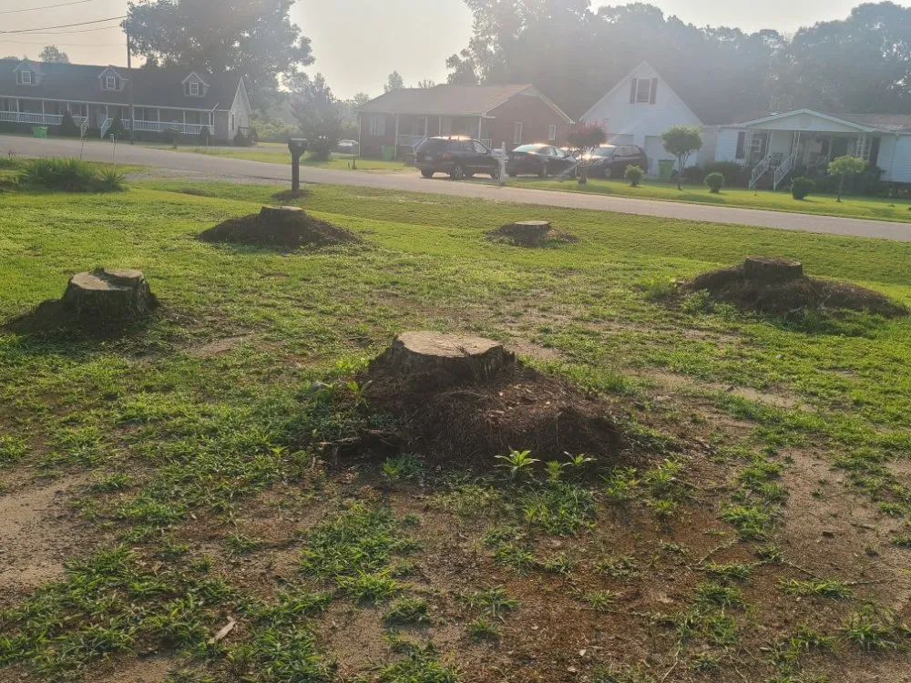 Professional lawn care service in Henderson, NC by Viks Services