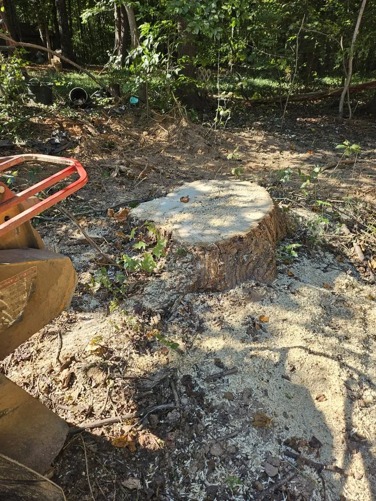 Expert yard maintenance for year-round maintenance across Henderson, NC - Viks Services