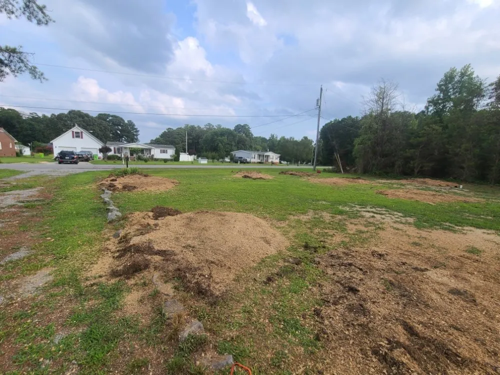 Local landscape installation for residential properties across Henderson, NC - Viks Services