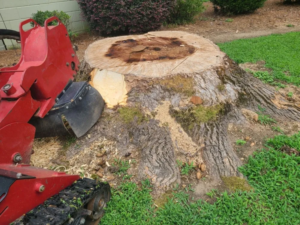 Reliable residential landscaping in Henderson, NC by Viks Services