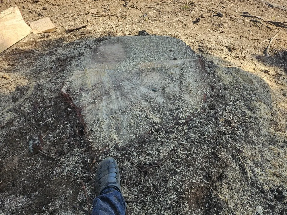 Local landscaping services in Henderson, NC - Viks Services