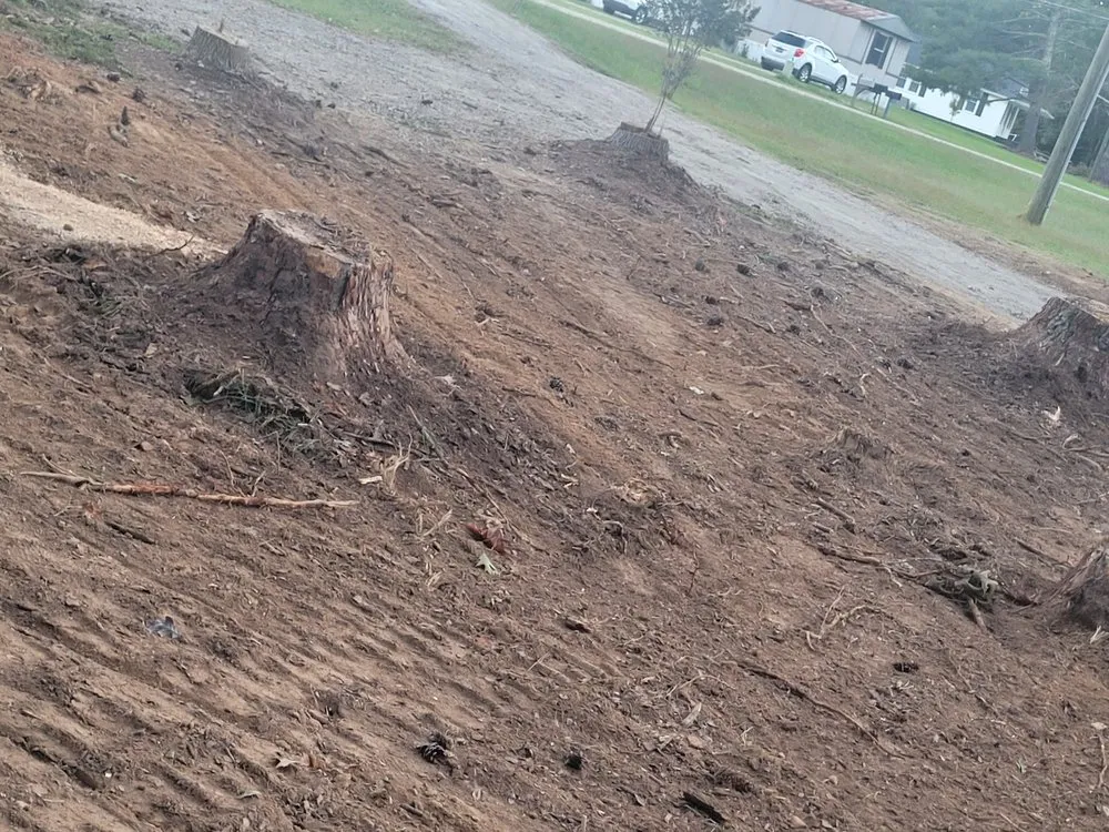 Expert outdoor landscaping experts serving Henderson, NC - Viks Services