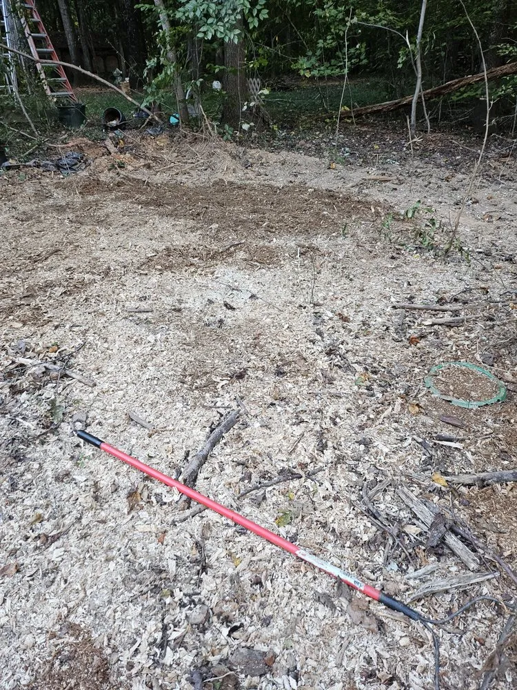 Custom yard maintenance in Henderson, NC by Viks Services