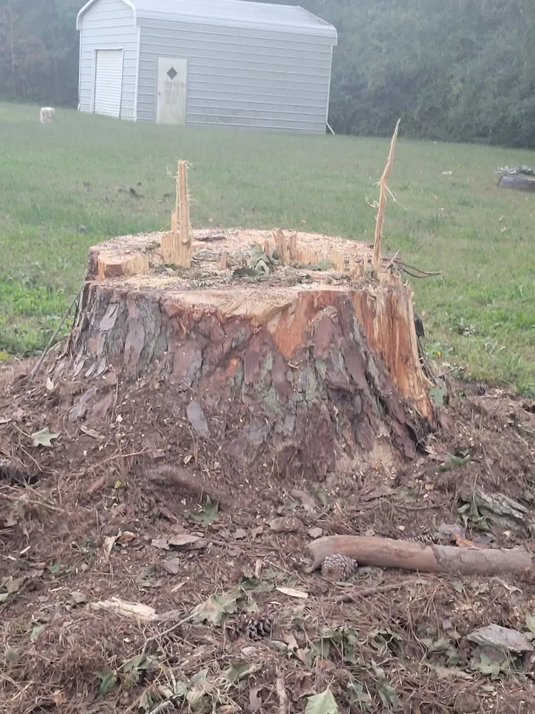 Affordable residential landscaping experts serving Henderson, NC - Viks Services