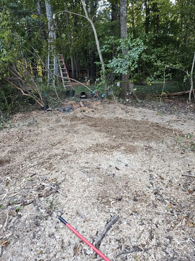 Top-rated lawn care service for beautiful yards across Henderson, NC - Viks Services